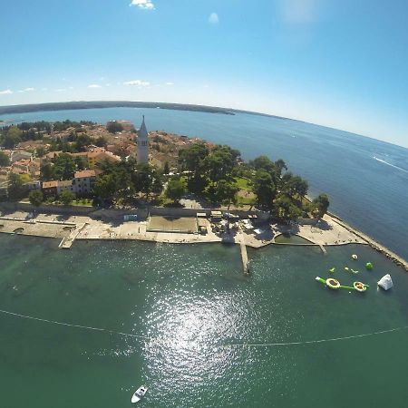 Apartma Jelka Novigrad Istria Eksteriør billede