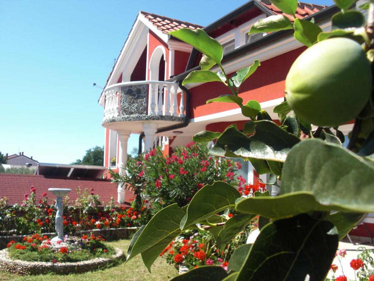 Apartma Jelka Novigrad Istria Eksteriør billede