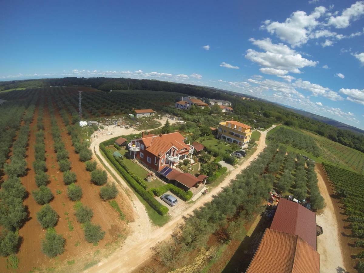 Apartma Jelka Novigrad Istria Eksteriør billede