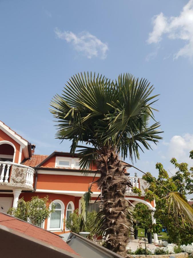 Apartma Jelka Novigrad Istria Eksteriør billede